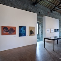 L’allestimento della mostra ©Sebastiano Luciano